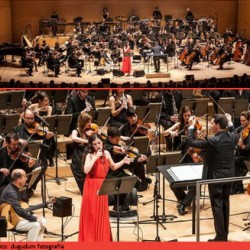 20 ans de Mare Nostrun Musicae